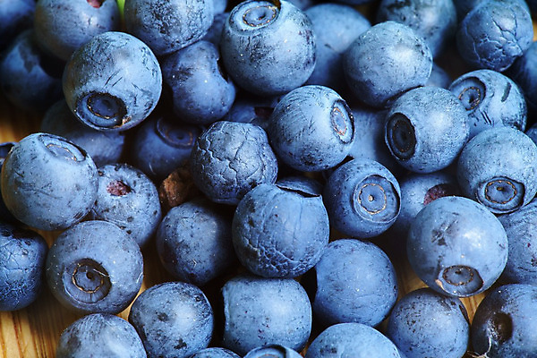 포토 JPG 해외이미지 열매 음식 백그라운드 농업 다이어트 과일 재료 자연 탁자 건강 사람없음 파란색 농작물 식사 시골 신선 맛 먹기 유기농 블루베리 북쪽 블랙베리 흙더미 건강식 내추럴 배급 변소 숙성 월귤 채식주의자 많음 비건 해외202004 해외포토 식물 웰빙 산업 컬러 가구 컨셉 모션 흙 방향 생태계 채식 파일형식 더미 이미지허브