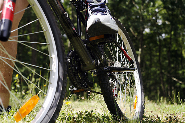 포토 JPG 해외이미지 여자 남자 스포츠 자연 산 풍경 경사 성인 사람없음 야외 사이클링 산악자전거 해외202004 해외포토 사람 자전거 육상스포츠 생태계 파일형식 이미지허브