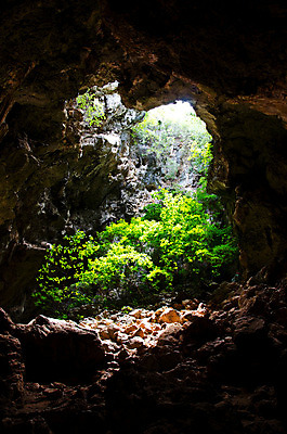 포토 JPG 해외이미지 나무 공원 지구 벽 여행 백그라운드 패턴 자연 새로움 실내 풍경 사람없음 물 빛 여행객 어둠 젖음 성장 바위 물방울 기둥 터널 동굴 떨어짐 신비 아래 서식 장면 지하 내추럴 깊이 땅바닥 생태학 석회암 옛날 전국 종유석 지질 지질학 특별함 효과 해외202004 해외포토 자연요소 식물 공공시설 교육 건축 길 컨셉 무늬 바닥 사람 내부 암석 돌_바위 방향 생태계 위치 파일형식 이미지허브