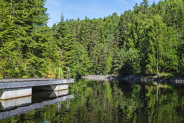 포토 JPG 해외이미지 나무 동물 구름 계절 호수 여행 자연 조류 하늘 산 노르웨이 풍경 사람없음 야외 목재 초록색 물 여름 파란색 강 컬러풀 햇빛 태양 반사 평화 환경 침묵 시골 숲 장면 내추럴 삼림지대 수평선 해외202004 해외포토 자연요소 식물 유럽 컬러 컨셉 재료 소리 생태계 파일형식 이미지허브