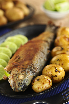 포토 JPG 해외이미지 접시 음식 조각 채소 감자 건강 어류 요리 사람없음 세로 사진촬영 식사 저녁식사 튀김 신선 해산물 준비 라임 점심식사 송어 해외202004 해외포토 식기 과일 촬영 수중동물 파일형식 이미지허브