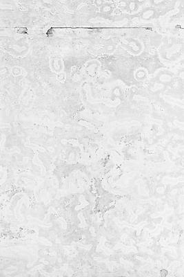 포토 JPG 해외이미지 디자인 종이 벽 백그라운드 패턴 건축양식 벽지 표면 날씨 추상 바닥 사람없음 야외 내부 건물 우주 페인트 공백 방 회색 수확 바위 흰색 도시 얼룩 거친 부식 질감 복고 시멘트 고체 구식 그런지 석고 옛날 콘크리트 해외202004 해외포토 건축물 건축 컬러 무늬 농업 돌_바위 파일형식 이미지허브