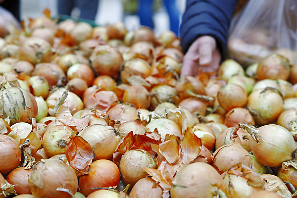 포토 JPG 해외이미지 디자인 잡화 음식 백그라운드 컨셉 채소 가방 과일 실내 건강 종류 사람없음 내부 초록색 빛 쇼핑 세일 바구니 상점 신선 시장 구매 상품 쇼핑몰 고객 사인 무역 유기농 통로 상업 냉장고 모음 소매 슈퍼마켓 줄서기 해외202004 해외포토 웰빙 산업 컬러 모션 가전제품 파일형식 이미지허브