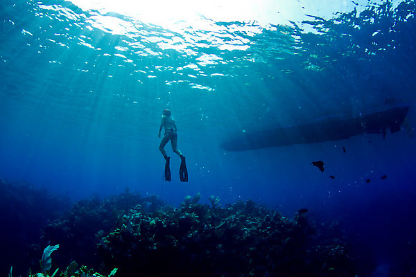 포토 JPG 해외이미지 스포츠 바다 여행 사다리 한명 사람 물 여름 수중 보트 중앙아메리카 다이빙 지느러미 암초 온두라스 해외202004 해외포토 자연요소 1 계절 배_교통 아메리카 수영 도구 수중스포츠 파일형식 이미지허브