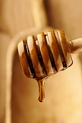 포토 JPG 해외이미지 백그라운드 근접촬영 사람없음 아웃포커스 흐름 달콤 꿀 허니디퍼 해외202004 해외포토 뷰포인트 컨셉 촬영기법 도구 맛 파일형식 이미지허브