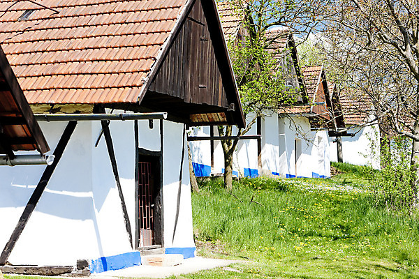 포토 JPG 해외이미지 외관 유럽 건축양식 여러명 사람없음 야외 건물 마을 와인 시골 포도밭 체코 동유럽 지하실 모라비아 해외202004 해외포토 건축물 건축 나라 다수 밭 주류 사람 파일형식 이미지허브