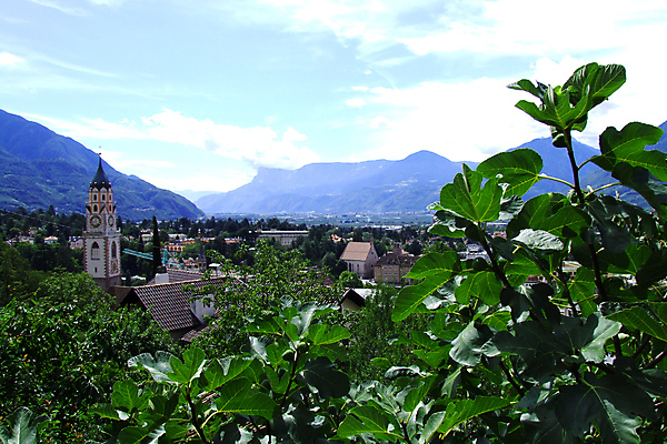 포토 JPG 해외이미지 사람없음 해외202004 해외포토 파일형식 이미지허브