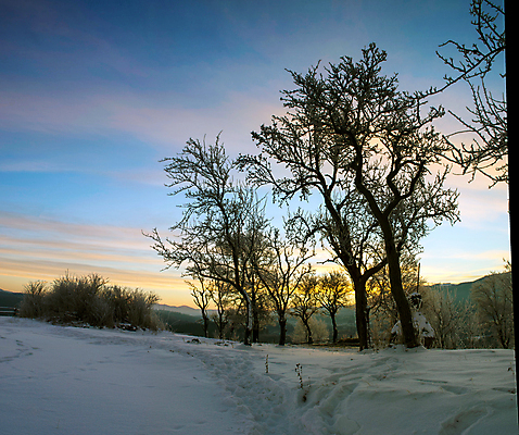 포토 JPG 해외이미지 나무 구름 계절 여행 백그라운드 크리스마스 겨울 자연 하늘 아침 동화 휴가 스키 산 풍경 사람없음 야외 목재 햇빛 일출 얼음 일몰 놀람 새벽 하이킹 추위 안개 덮개 백발 축하 오스트리아 숲 스위스 즐거움 서리 전나무 강렬 폭설 눈내림 가문비나무 해외202004 해외포토 주간 자연요소 식물 헤어스타일 기념일 감정 유럽 컨셉 재료 레저 날씨 겨울스포츠 눈_날씨 표정 태양 노을 뚜껑 자연재해 생태계 파일형식 이미지허브