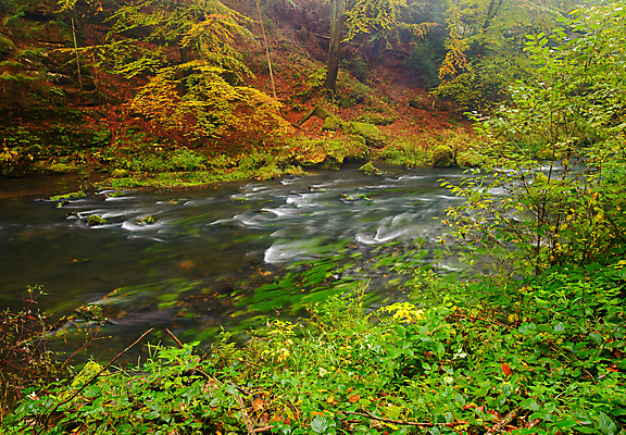 포토 JPG 해외이미지 나무 계절 공원 백그라운드 잎 오렌지 자연 벽지 산 풍경 사람없음 야외 빨간색 초록색 물 강 컬러풀 햇빛 노란색 놀람 새벽 폭포 흐름 가을 바위 개울 황금 숲 장면 내추럴 해외202004 해외포토 자연요소 식물 공공시설 감정 컬러 컨셉 과일 표정 태양 돌_바위 생태계 파일형식 이미지허브