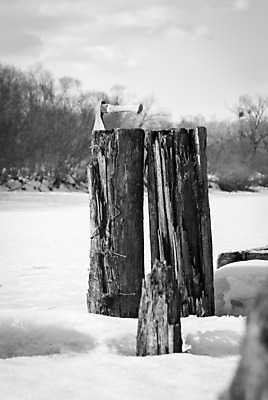 포토 JPG 해외이미지 나무 겨울 하늘 사람없음 목재 강 얼음 추위 발자국 서리 도끼 추적 옛날 수평선 해외202004 해외포토 자연요소 식물 계절 재료 자국 모션 파일형식 이미지허브