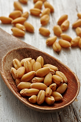 포토 JPG 해외이미지 음식 농업 채소 콩 건강 옥수수 씨앗 사람없음 숟가락 그룹 달콤 수프 낟알 시리얼 밀 상업 날것 생식 채식주의자 해외202004 해외포토 식물 산업 곡류 수저 맛 채식 파일형식 이미지허브