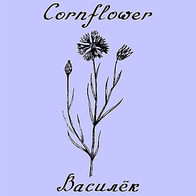 포토 JPG 해외이미지 식물 손 디자인 영어 꽃 음료 백그라운드 잎 꽃무늬 포장 자연 건강 사람없음 그래픽 치료 약 연필 화장품 수확 차 스케치 약국 허브 그림 에코 유기농 윤곽 아로마테라피 테라피 러시아인 수레국화 레터링 해외202004 해외포토 서양인 문자 웰빙 무늬 농업 의학 학용품 미술 신체부위 필기구 뷰티 환경 생태계 파일형식 이미지허브