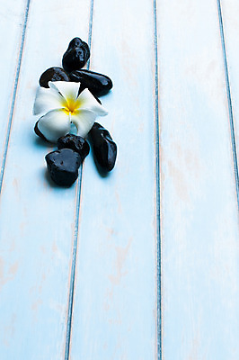 포토 JPG 해외이미지 디자인 백그라운드 패턴 자연 추상 휴가 바닥 사람없음 목재 장식 갈색 정원 검은색 스파 질감 옛날 해외202004 해외포토 나무 컬러 무늬 재료 생태계 파일형식 이미지허브