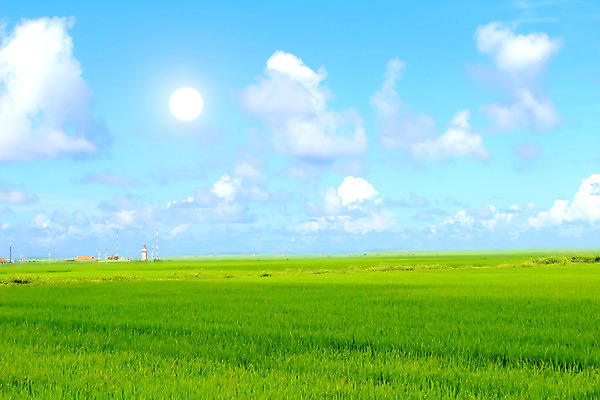 포토 JPG 해외이미지 구름 음식 백그라운드 잎 농업 자연 하늘 밥 날씨 씨앗 사람없음 여름 파란색 빛 농작물 햇빛 농장 노란색 우주 환경 맑음 흰색 낟알 시리얼 가득함 천국 솜털 논밭 숙성 해외202004 해외포토 자연요소 식물 계절 산업 컬러 밭 논 태양 생태계 파일형식 이미지허브