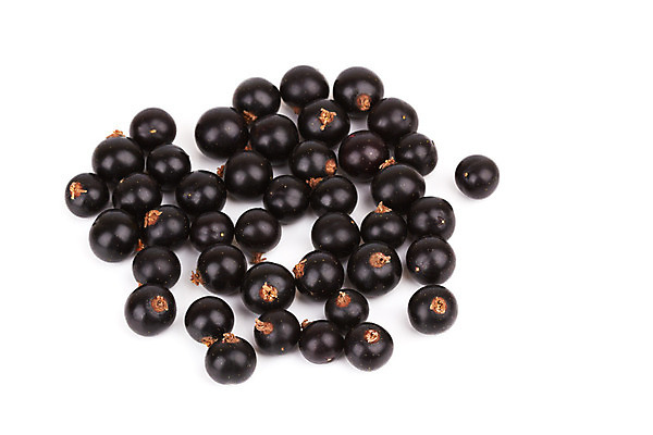 포토 JPG 해외이미지 식물 열매 음식 백그라운드 농업 과일 자연 사람없음 여름 농작물 쌓기 정원 검은색 식사 모임 흰색 신선 닫기 달콤 상품 유기농 날것 내추럴 건포도 고립 숙성 식용 해외202004 해외포토 웰빙 계절 산업 컬러 모션 포도 맛 생태계 건과일 파일형식 이미지허브