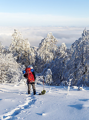 포토 JPG 해외이미지 나무 1 계절 길 여행 겨울 배낭 자국 자연 하늘 날씨 휴가 휴식 한명 사람 풍경 야외 빛 햇빛 태양 여행객 평화 맑음 얼음 산책 트래킹 하이킹 추위 자유 안개 황무지 숲 오솔길 천국 스카이라인 삼림지대 혼자 눈내림 수평선 해외202004 해외포토 자연요소 식물 컨셉 가방 레저 눈_날씨 생태계 파일형식 이미지허브
