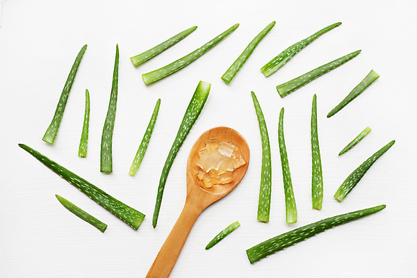 포토 JPG 해외이미지 스튜디오촬영 실내 사람없음 초록색 흰배경 나무숟가락 알로에 해외202004 해외포토 식물 컬러 백그라운드 내부 숟가락 흰색 파일형식 이미지허브