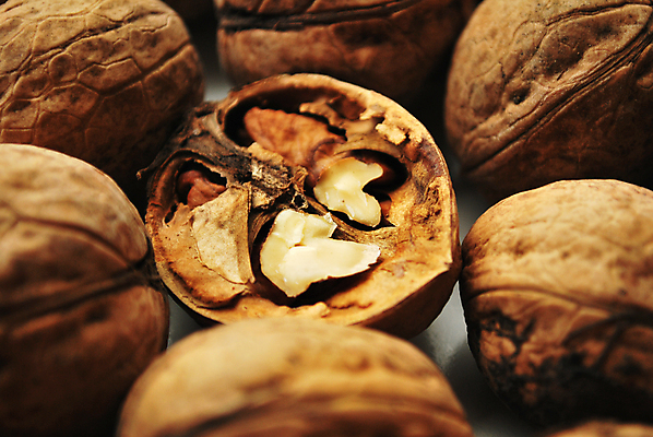 포토 JPG 해외이미지 음식 다이어트 과일 자연 건조 건강 사람없음 갈색 견과류 흰색 호두 고립 해외202004 해외포토 컬러 생태계 파일형식 이미지허브