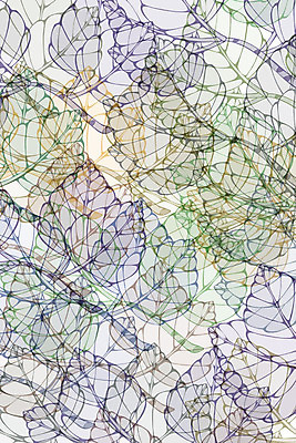 포토 JPG 해외이미지 모양 식물 템플릿 디자인 계절 백그라운드 잎 꽃무늬 패턴 일러스트 자연 사람없음 장식 가을 숲 유기농 질감 부드러움 우표 리듬 파스텔톤 각인 해외202004 해외포토 웰빙 꽃 컬러 무늬 감각 생태계 파일형식 이미지허브