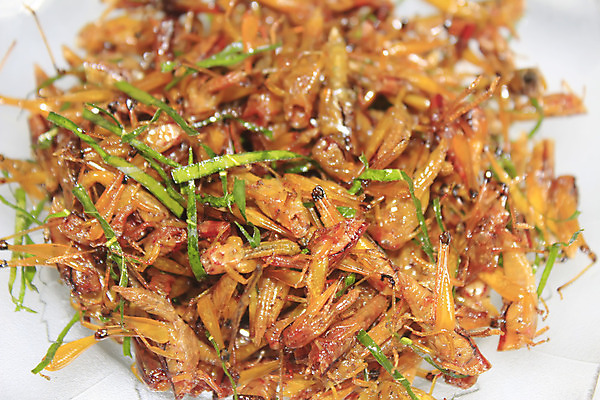 포토 JPG 해외이미지 전통 접시 음식 곤충 멕시코 건조 요리 사람없음 식사 튀김 굽기 향신료 매움 메뚜기 건강식 단백질 식용 이국적 해외202004 해외포토 동물 식기 북아메리카 맛 구이 영양소 향미료 파일형식 이미지허브