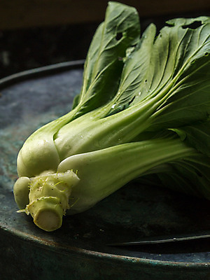 포토 JPG 해외이미지 동양인 사람없음 양배추 해외202004 해외포토 채소 인종 파일형식 이미지허브