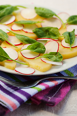 포토 JPG 해외이미지 접시 계절 음식 포크 다이어트 채소 재료 감자 건강 사람없음 빨간색 세로 초록색 여름 보라색 식사 저녁식사 봄 샐러드 흰색 신선 닫기 선택 아침식사 상추 먹기 제비꽃 유기농 냅킨 날것 뿌리 시금치 내추럴 점심식사 채식주의자 총각무 디톡스 비건 해외202004 해외포토 식기 웰빙 꽃 컬러 컨셉 모션 무 채식 파일형식 이미지허브