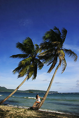 포토 JPG 해외이미지 나무 모델 모래 파도 바다 섬 여행 포즈 자연 손바닥 한명 앉기 풍경 야외 물 여름 모래사장 기댐 만 대서양 공화국 이국적 터키석 파라다이스 해외202004 해외포토 자연요소 식물 1 손 계절 나라 모션 사람 보석 생태계 파일형식 이미지허브