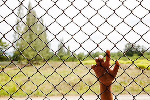 포토 JPG 해외이미지 나무 손 백그라운드 패턴 모션 사람없음 가로 초록색 울타리 금속 힘 경계선 소프트포커스 접속 질감 철사 멀리 아연 해외202004 해외포토 식물 선 컬러 무늬 재질 촬영기법 신체부위 담장 경계 영양소 파일형식 이미지허브