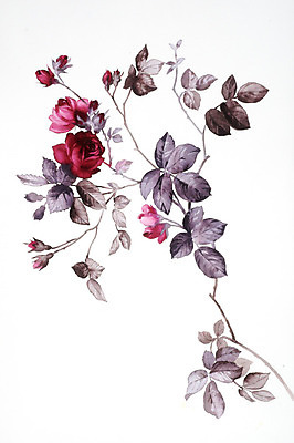 JPG 해외이미지 식물 꽃 꽃다발 일러스트 붓터치 수채화 사람없음 그림 번짐 해외202004 해외일러스트 파일형식 효과 이미지허브