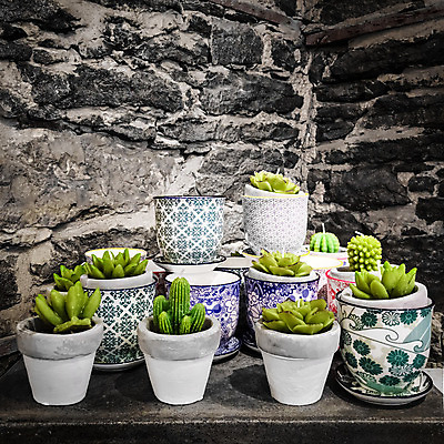 포토 JPG 해외이미지 식물 디자인 화분 화초 벽 선인장 사람없음 장식 초록색 도자기 냄비 정사각형 심기 알로에 인공 해외202004 해외포토 도형 컬러 모션 솥 파일형식 이미지허브