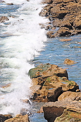 포토 JPG 해외이미지 나무 구름 모래 파도 바다 섬 여행 태국 자연 하늘 표면 휴가 휴식 손바닥 풍경 사람없음 야외 가로 물 여름 파란색 태양 여행객 우주 수중 수영 바위 매끈함 숲 오두막 땅 휴양지 태평양 코코넛 멀리 석호 수평선 해외202004 해외포토 자연요소 식물 손 계절 아시아 컬러 컨셉 과일 사람 장소 돌_바위 수상스포츠 감각 생태계 파일형식 이미지허브