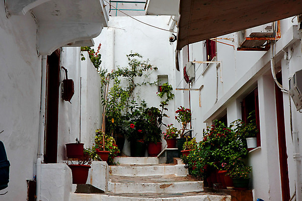 포토 JPG 해외이미지 꽃 문화 여행 건축양식 주택 협상 사람없음 파란색 흰색 중세 역사 지중해 타운 그리스인 스타일 해외202004 튀르키예 해외포토 서양인 식물 건축 아시아 바다 컬러 비즈니스 건물 도시 파일형식 이미지허브