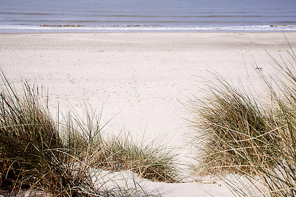포토 JPG 해외이미지 모래 바다 자연 바닥 건조 해변 사람없음 낟알 모래언덕 만족 먼지 해외202004 해외포토 감정 언덕 생태계 파일형식 이미지허브