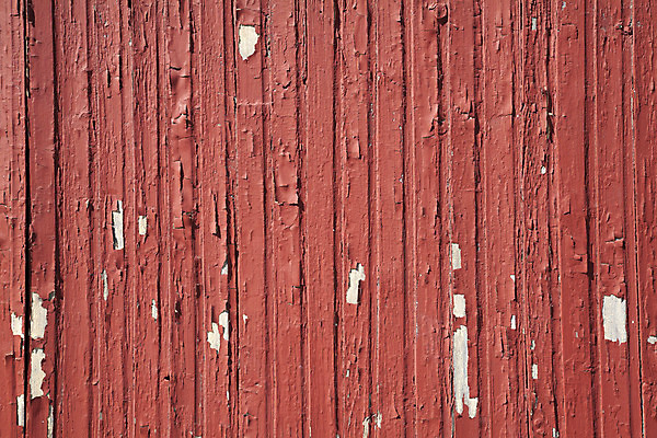 포토 JPG 해외이미지 캐릭터 선 벽 백그라운드 패턴 벽지 표면 날씨 외벽 사람없음 야외 건물 목재 힘 페인트 손상 흰색 소나무 판넬 얼룩 거친 황폐 널 낟알 고민 질감 무침 시들음 잡동사니 헛간 그런지 수목 옛날 노화 못생김 해외202004 해외포토 나무 건축물 감정 음식 컬러 컨셉 무늬 재료 저장고 파일형식 이미지허브