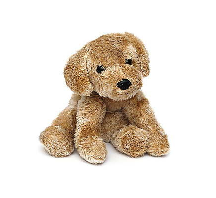 포토 JPG 해외이미지 동물 1 얼굴 어린이 새끼 장난 놀이 사람없음 빛 반려동물 장난감 갈색 흰색 아기 개 달콤 강아지 작음 큼 모피 귀 부드러움 솜털 폭식 고립 해외202004 해외포토 컬러 포유류 사람 신체부위 감각 맛 크기 파일형식 이미지허브