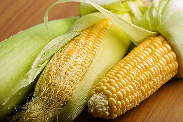 포토 JPG 해외이미지 식물 음식 백그라운드 잎 밭 농업 다이어트 채소 재료 자연 건강 옥수수 요리 사람없음 초록색 물 여름 농작물 컬러풀 농장 노란색 젖음 흐름 수확 가을 물방울 신선 황금 달콤 맛 떨어짐 아침식사 낟알 먹기 묘사 유기농 알맹이 날것 내추럴 식용 채식주의자 탄수화물 해외202004 해외포토 자연요소 웰빙 계절 산업 컬러 컨셉 모션 곡류 식사 생태계 채식 파일형식 이미지허브