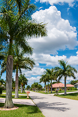 포토 JPG 해외이미지 하늘 거리 손바닥 사람없음 야자수 맑음 미국 좁은 플로리다 해외202004 해외포토 나무 손 북아메리카 날씨 파일형식 이미지허브