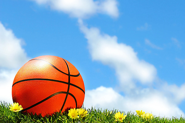포토 JPG 해외이미지 모양 구름 꽃 스포츠 백그라운드 오렌지 공 놀이 하늘 휴식 농구 사람없음 야외 여름 운동 바구니 검은색 장비 게임 흰색 원형 그물 오브젝트 질감 데이지 고무 고립 여의주 해외202004 해외포토 자연요소 도형 식물 계절 컬러 컨셉 과일 건강 구기 파일형식 이미지허브