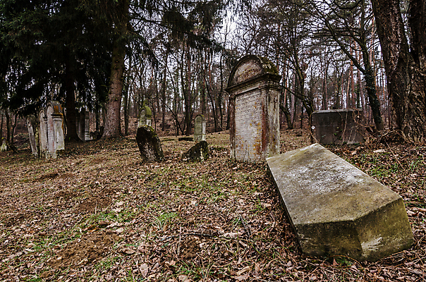 포토 JPG 해외이미지 꽃 기독교 종교 지구 백그라운드 십자가 부활절 사람없음 목재 조각상 검은색 성경 바위 기도 죽음 예수 영혼 목사 심볼 애도 신성 땅파기 신앙심 옛날 장례식 오싹 해외202004 해외포토 나무 식물 기념일 컬러 재료 종교용품 조형물 신_종교 성직자 파일형식 이미지허브