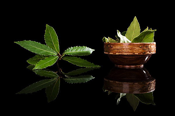 포토 JPG 해외이미지 스튜디오촬영 식물 음식 백그라운드 잎 재료 자연 검은배경 건조 건강 요리 사람없음 가로 초록색 약 검은색 약재 신선 만 양념 조미료 사발 맛 허브 향신료 유기농 아로마 향 상록수 내추럴 고립 월계수 해외202004 해외포토 웰빙 컬러 컨셉 의학 실내 사기그릇 생태계 향미료 파일형식 이미지허브