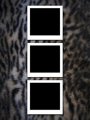 포토 JPG 해외이미지 동물 일러스트 추상 프레임 털 사람없음 그래픽 카메라 사진촬영 공백 인쇄 모피 필름 피부 복고 정사각형 순간 옛날 해외202004 해외포토 도형 무늬 신체부위 전자제품 촬영 파일형식 이미지허브