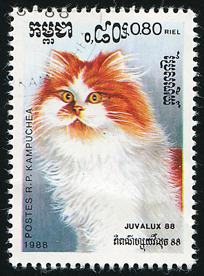 포토 JPG 해외이미지 동물 척추동물 포유류 자연 봉투 수염 털 사람없음 반려동물 고양이 수확 골동품 메시지 역사 물개 모피 편지 복고 엽서 캄보디아 우표 옛날 해외202004 해외포토 아시아 농업 바다동물 생태계 파일형식 이미지허브