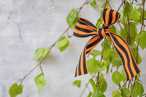 포토 JPG 해외이미지 별 백그라운드 일러스트 휴가 미술 사람없음 빨간색 세계 힘 수확 축하 9 역사 역 위험 5월 수집 메달 심볼 복고 군용 싸움 전쟁 러시아 육군 질서 병정 애국심 대패 소비에트 옛날 필승 해외202004 해외포토 자연요소 유럽 컬러 컨셉 농업 교통시설 모션 문화예술 군대 숫자 예절 우승 날짜 상_상패 파일형식 이미지허브