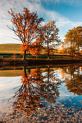 포토 JPG 해외이미지 나무 식물 계절 공원 호수 여행 잎 자연 하늘 아침 새로움 풍경 사람없음 야외 목재 빨간색 초록색 물 파란색 빛 강 컬러풀 반사 노란색 평화 일출 환경 항구 침묵 일몰 거울 안개 가을 연못 개울 가장자리 숲 대칭 해외202004 해외포토 주간 자연요소 공공시설 컬러 컨셉 재료 교통시설 날씨 노을 소리 둘레 생태계 파일형식 이미지허브