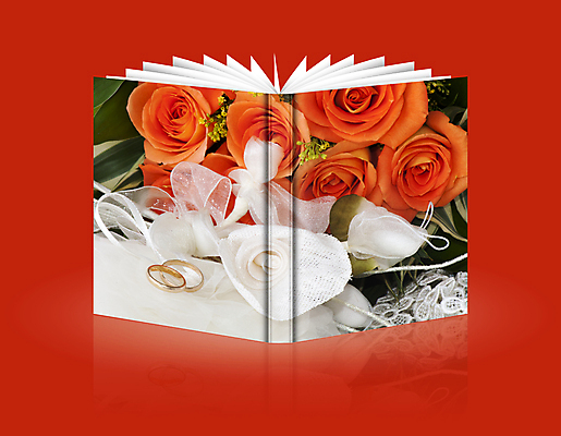 포토 JPG 해외이미지 커플 꽃잎 꽃 리본 결혼 백그라운드 목걸이 발렌타인데이 선물 사랑 사람없음 빨간색 상자 장미 귀걸이 흰색 하트 반지 황금 우아함 보석 심볼 오브젝트 다이아몬드 약혼 고립 해외202004 해외포토 모양 식물 감정 컬러 컨셉 장신구 관계 데이이벤트 이벤트 광석 약속 파일형식 이미지허브