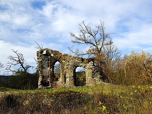 포토 JPG 해외이미지 사람없음 늑대 해외202004 해외포토 포유류 파일형식 이미지허브