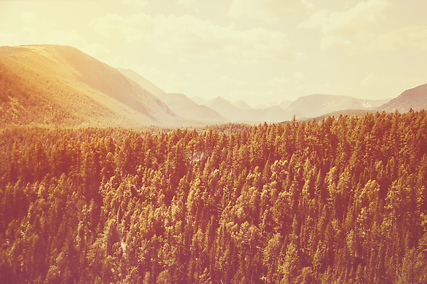 포토 JPG 해외이미지 나무 구름 여행 밭 자연 하늘 날씨 산 파노라마 풍경 사람없음 초록색 여름 파란색 햇빛 농장 농경지 환경 계곡 맑음 일몰 봄 목장 분위기 저녁 숲 언덕 러시아 폭풍 산악지대 뇌우 밭일 시베리아 해외202004 해외포토 자연요소 식물 계절 유럽 컬러 컨셉 농업 촬영기법 태양 노을 야간 생태계 파일형식 이미지허브