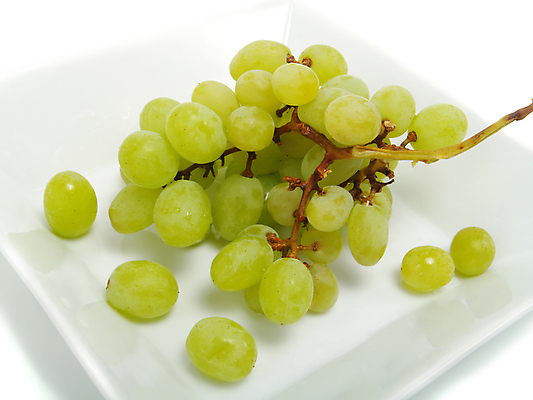 포토 JPG 해외이미지 식물 계절 음식 백그라운드 과일 재료 포도 디저트 건강 사람없음 초록색 빛 젖음 흰색 물방울 신선 사발 우아함 달콤 맛 다발 유기농 날것 포도나무 건강식 내추럴 강렬 고립 숙성 채식주의자 해외202004 비건음식 해외포토 웰빙 컬러 컨셉 사기그릇 과일나무 채식 파일형식 비건 이미지허브