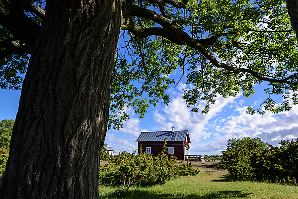 포토 JPG 해외이미지 나무 식물 구름 행복 컨셉 밭 농업 자연 하늘 주택 파노라마 풍경 사람없음 초록색 파란색 농장 평화 환경 정원 침묵 재산 고독 숲 땅 투자 렌탈 샬레 입력 주거지 진짜 혼자 수평선 해외202004 해외포토 자연요소 감정 산업 컬러 비즈니스 촬영기법 실험기구 건물 금융 소리 생태계 파일형식 이미지허브