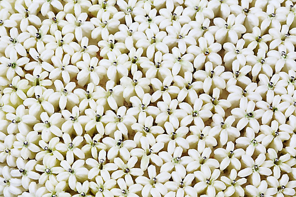 포토 JPG 해외이미지 백그라운드 패턴 태국 동양인 사람없음 흰색 고급 우아함 배열 질감 해외202004 해외포토 아시아 컬러 컨셉 무늬 인종 파일형식 이미지허브